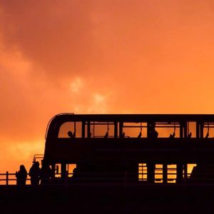 少女B毛多被干电影在现
